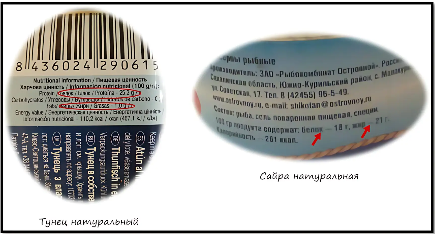сравнение тунца и сайры по кбжу