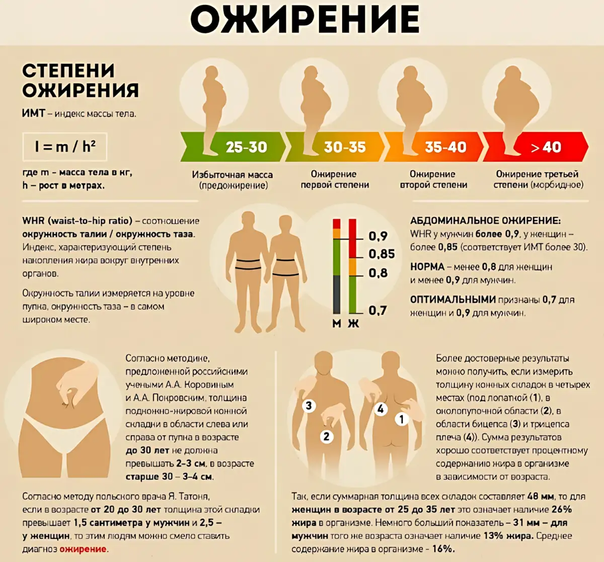 степени ожирения инфографика stepeni-ozhireniya-infografika