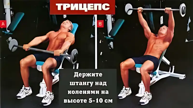 бодибилдинг OS техника 13 бодибилдинг OS техника 13