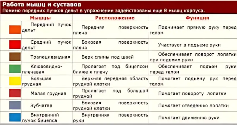 бодибилдинг OS техника 15 бодибилдинг OS техника 15