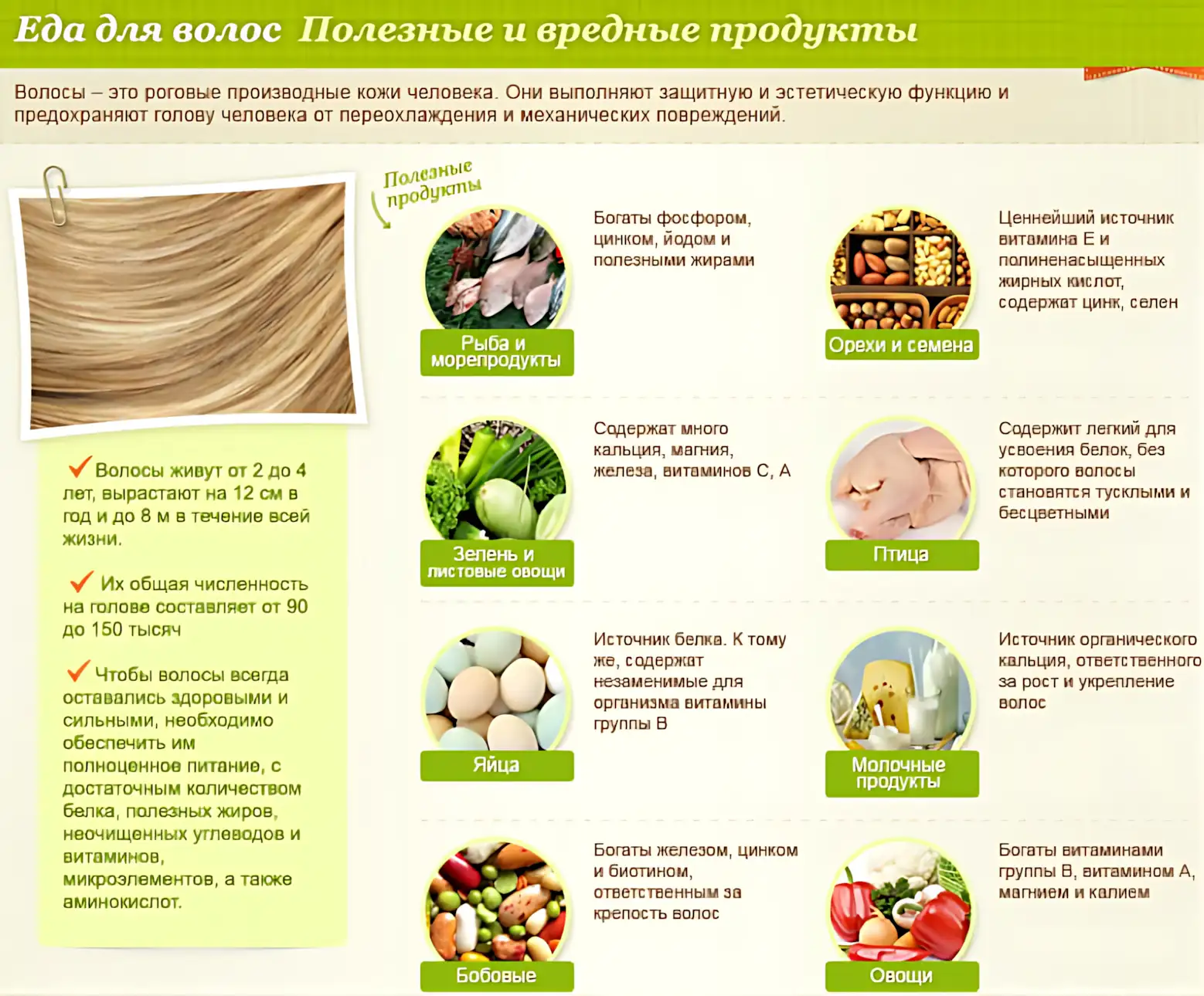 produktyi-dlya-volos produktyi-dlya-volos