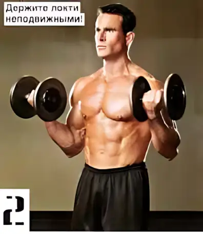 подъемы с гантелями рубрика бодибилдинг OS техника 7