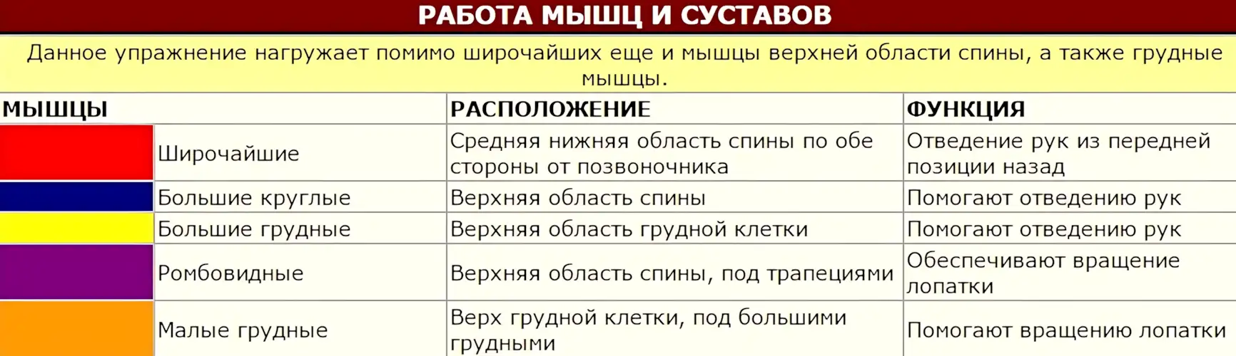 Работа мыiw и суставов в упражнении тяга книзу прямыми руками рубрика Old School бодибилдинг 15