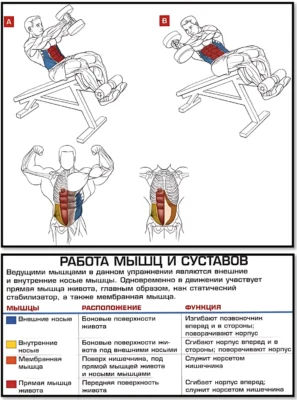 упражнение Русский твист анатомия