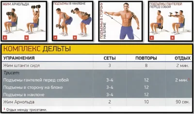 как быстро накачать дельты методика тренинга, схема