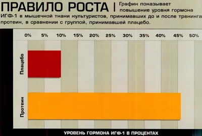 рост гормона роста в крови после приема протеина до и после тренировки исследование рост гормона роста в крови после приема протеина до и после тренировки исследование