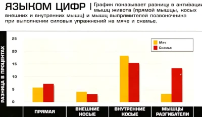пресс на фитболе и скамье сравнение исследование