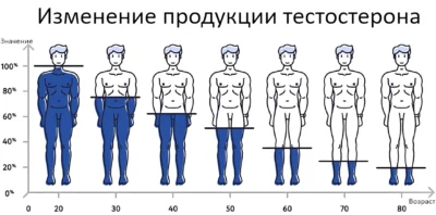 изменение продукции тестостерона с возрастом