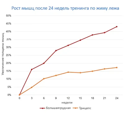 Какие мышцы задействуются при жиме лежа - рост после 24 недель тренинга Какие мышцы задействуются при жиме лежа - рост после 24 недель тренинга