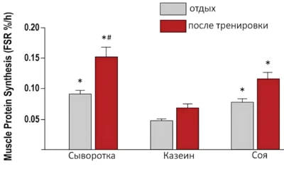 протеиновые порошки и их влияние на синтез белка протеиновые порошки и их влияние на синтез белка