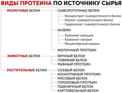 виды протеина по источнику сырья виды протеина по источнику сырья
