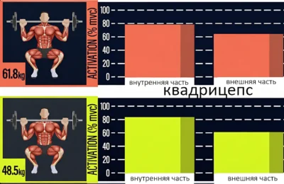 frontalnye-prisedaniya-klassicheskie-chto-luchshe-issledovanie фронтальные и классические приседания со штангой исследование
