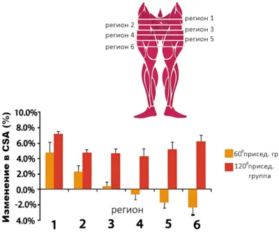 is-the-squat-enough-for-maximizing-leg-growth4 ф