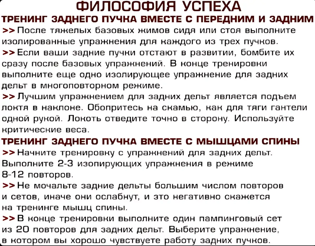 kak-nakachat-zadnyuyu-deltu-metodika ф