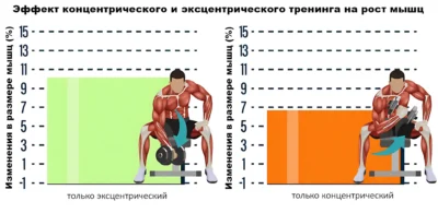 концентрический и эксцентрический тренинг что лучше исследование концентрический и эксцентрический тренинг что лучше исследование