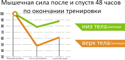 мышечная сила, восстановление мышц, исследование