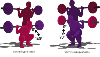 partial-squat-vs-full-range-of-motion ф