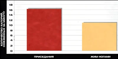 приседания и жим ногами - сжигание жира, исследование 2006 год Truman State (Киркевилл, Миссури) prisedaniya-i-zhim-nogami-szhiganie-zhira