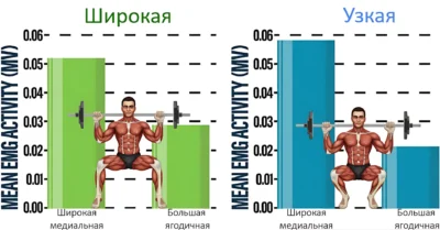 приседания со штангой широкая и узкая постановка исследование