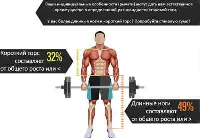 становая сумо индивидуальные рычаги исследование