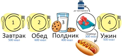 Суточная схема питания эндоморфа при 1-ой тренировке в день vr 2