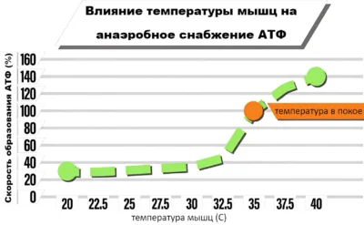влияние температуры мышц на анаэробное снабжение атф исслед
