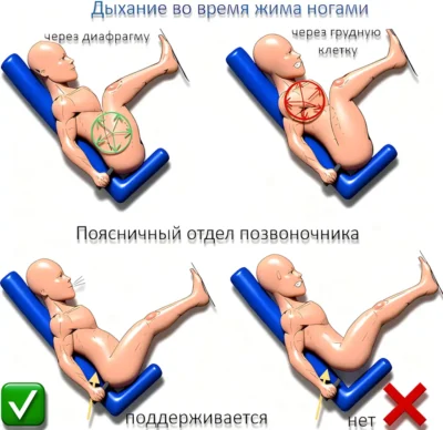 Дыхание во время жима ногами zhim-nogami-kak-pravilno-dyshat-up