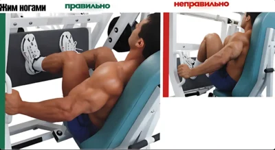 жим ногами ошибки zhim-nogami-oshibki ф