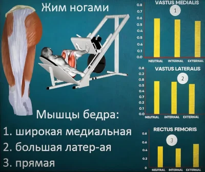 zhim-nogami-polozhenie-stop-issledovanie zhim-nogami-polozhenie-stop-issledovanie