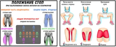 жим ногами постановка ног zhim-nogami-postanovka-nog-up