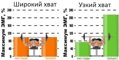 жим штанги лежа узкий и широкий хват исследование zhim-shtangi-lezha-uzkij-i-shirokij-hvat-issledovanie web