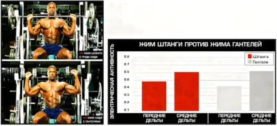армейский жим сидя штанги или жим гантелей что лучше исследование armejskij-zhim-sidya-shtangi-ili-zhim-gantelej-chto-luchshe-issledovanie-scaled