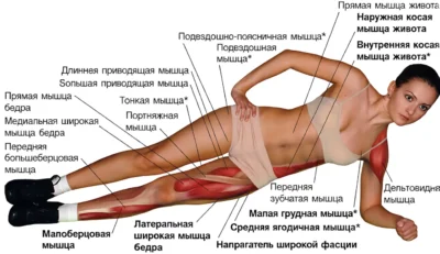 боковая планка мышцы