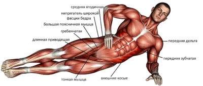 dinamicheskaya-bokovaya-planka-myishtsyi
