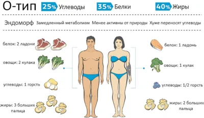 endomorf-pitanie-shema
