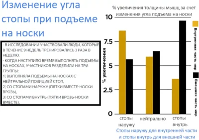 изменение угла стопы при подъеме на сноски исслед