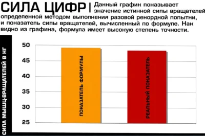 kak-oczenit-silu-vrashhatelej-plecha-formula-issledovanie