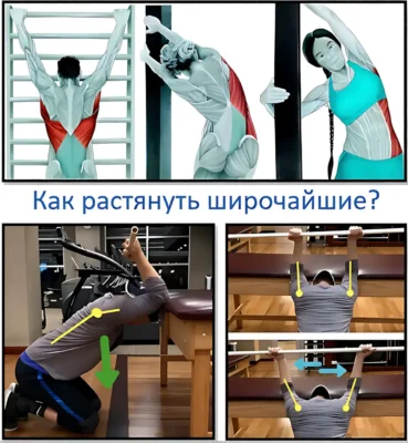 как растянуть широчайшие, упражнение пуловер kak-rastyanut-shirochajshie-uprazhnenie-pulover-sc