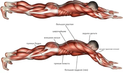 otzhimaniya-supermen-myshczy(1)
