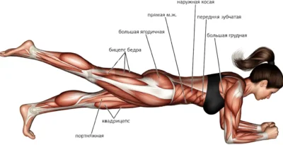 Планка на одной ноге мышцы planka-na-odnoj-noge-myshczy