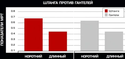 podem-shtangi-i-gantelej-na-biczeps-chto-luchshe-issledovanie