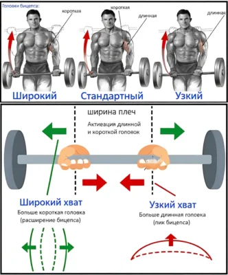 podem-shtangi-na-biczeps-3-vida-hvata-up