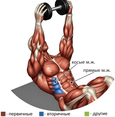 podem-tulovishha-so-shtangoj-v-vytyanutyh-vverh-rukah-myshtsy(1)