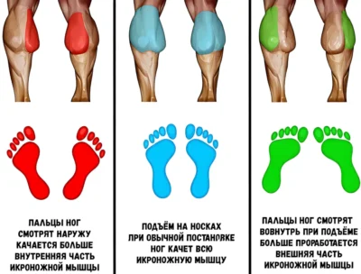 podemy-na-noski-stoya-polozhenie-stop-akczent-ikry