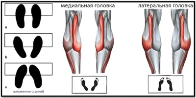 podemy-na-noski-stoya-v-trenazhere-kak-stavit-noski(1)