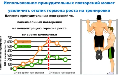 принудительные повторения и гормон роста исследование принудительные повторения и гормон роста исследование