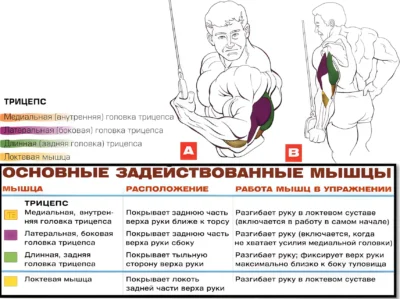 razgibanie-odnoj-ruki-v-krossovere-myshczy-2