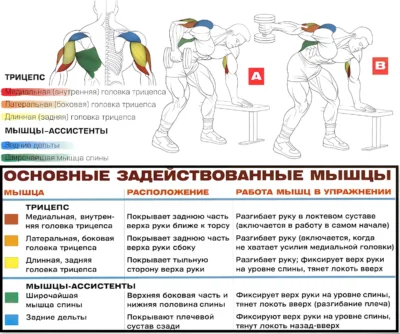 razgibanie-ruki-v-naklone-myshczy-2 razgibanie-ruki-v-naklone-myshczy-2