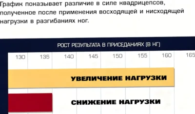 razgibaniya-nog-v-trenazhere-uvelichenie-i-umenshenie-nagruzki-issledovanie