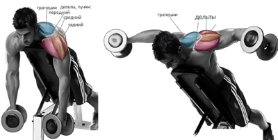 razvedenie-ganteley-v-storonyi-lezha-na-skame-pod-uglom-vverh-myishtsyi